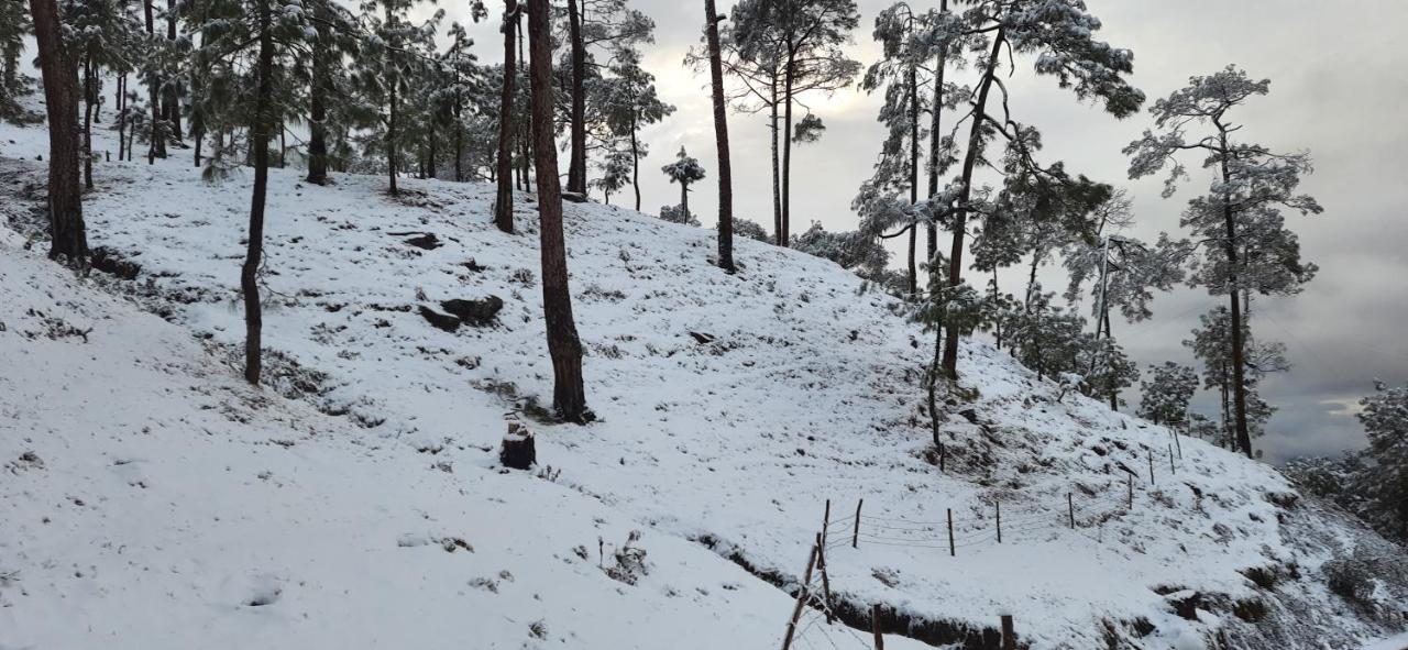 The Ranikhet Continental Hotel Exterior photo