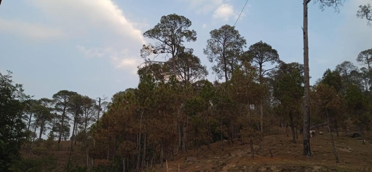 The Ranikhet Continental Hotel Exterior photo
